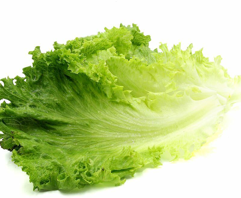 Green Leaf Lettuce
