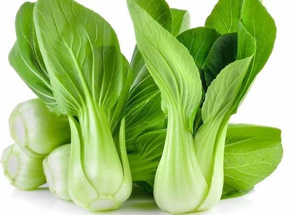 Bok Choy