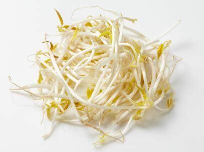 Bean Sprout