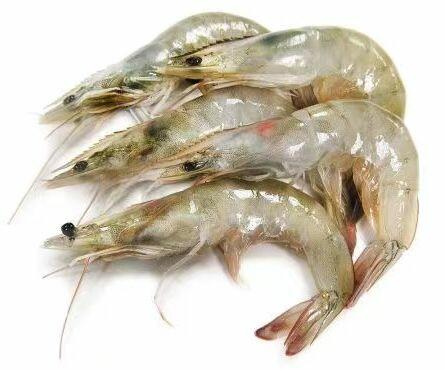 Jumbo Shrimp