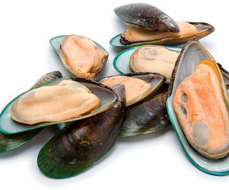 Green Mussel