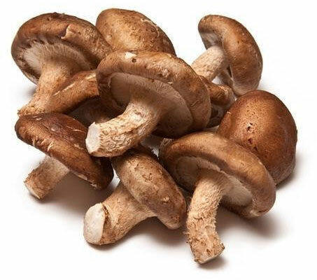Shiitake Mushroom